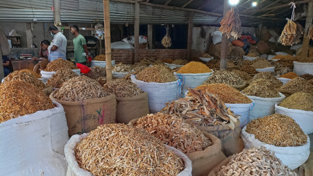 Dry Fish in Chirala, Bapatla and Ongole